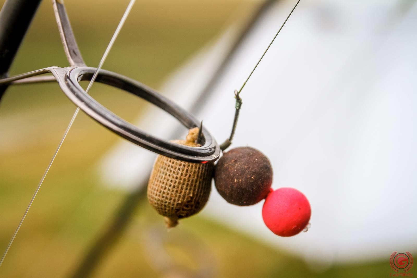 Concursuri 2016 by gor965 - 1448194811737395393160053788298269142092734o.jpg